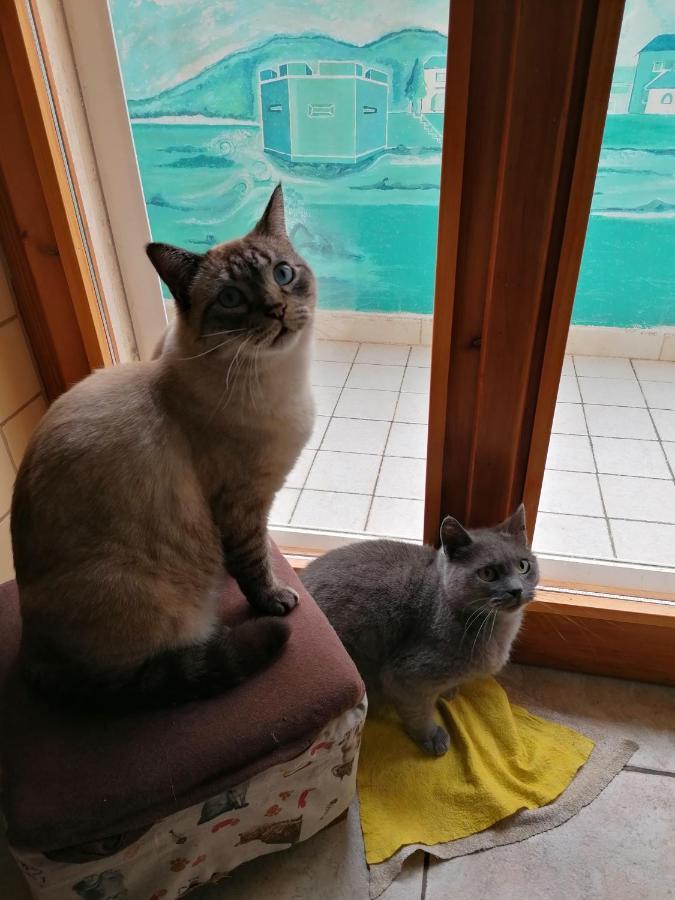 B&B Il Giardinetto Alghero Pokoj fotografie